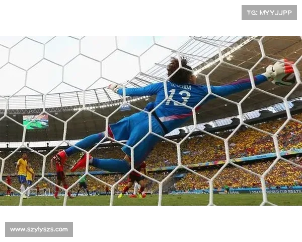 德国巴西世界杯决赛精彩瞬间回顾激情四射的巅峰对决